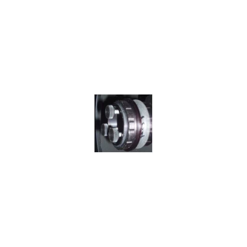 Bobs Knobs Skywatcher Mak-Newton 190 secondaire
