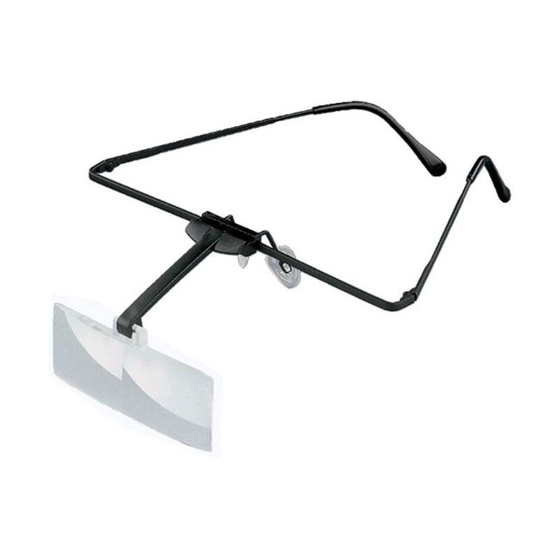 Eschenbach Lunettes-loupe, laboMED, 2,5X, bino