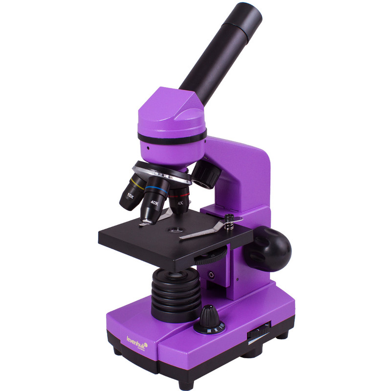 Microscope Levenhuk Rainbow 2L Amethyst