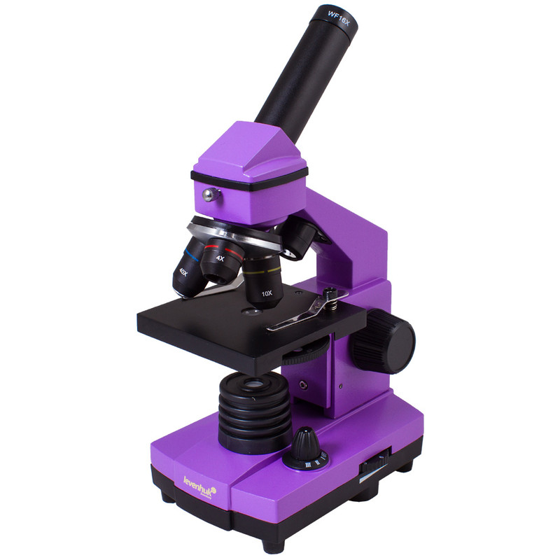 Microscope Levenhuk Rainbow 2L Plus Amethyst