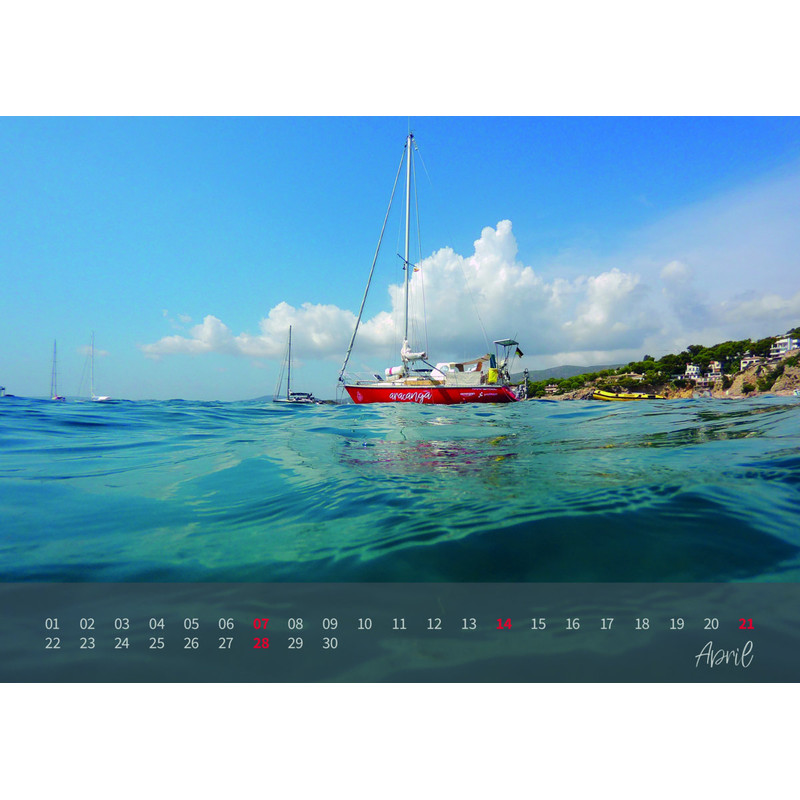 Calendrier aracanga Kalender 2019