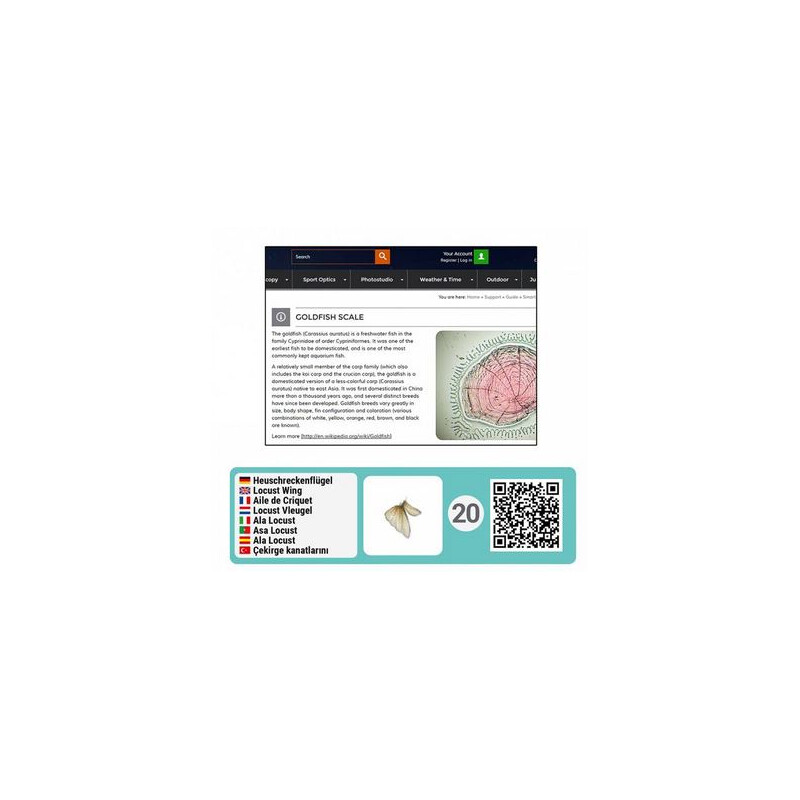 Kit d’Accessoires de Microscopie intelligent BRESSER JUNIOR avec Code QR  pour davantage d'Informations
