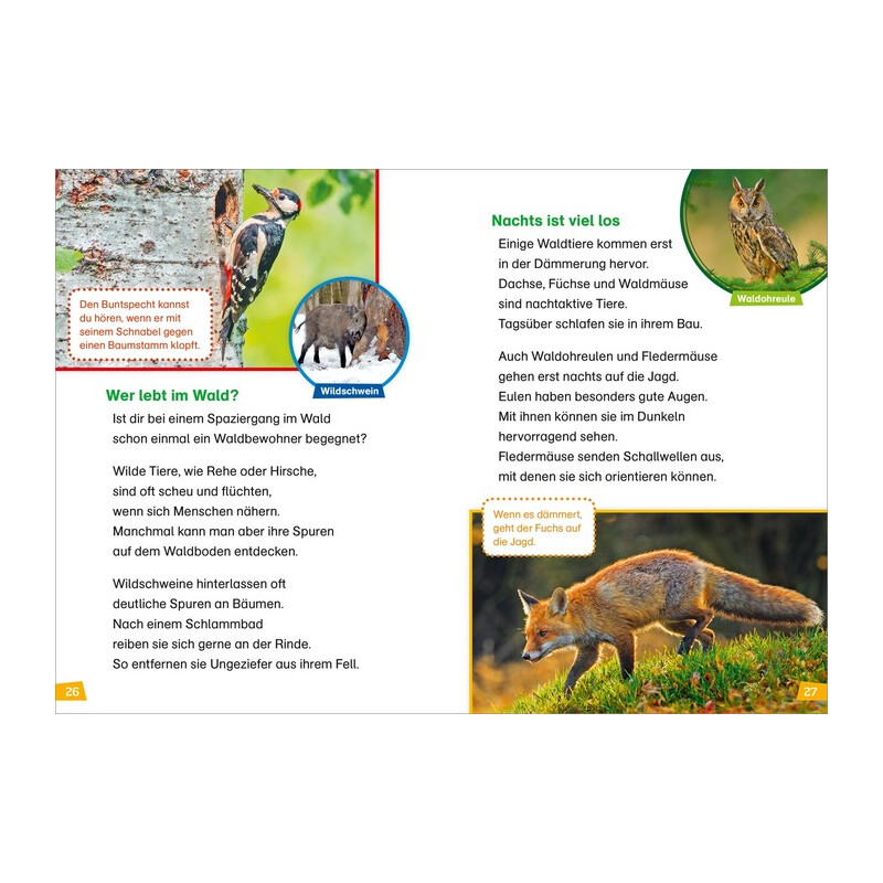 Tessloff-Verlag WAS IST WAS Première lecture : Découvrir la nature