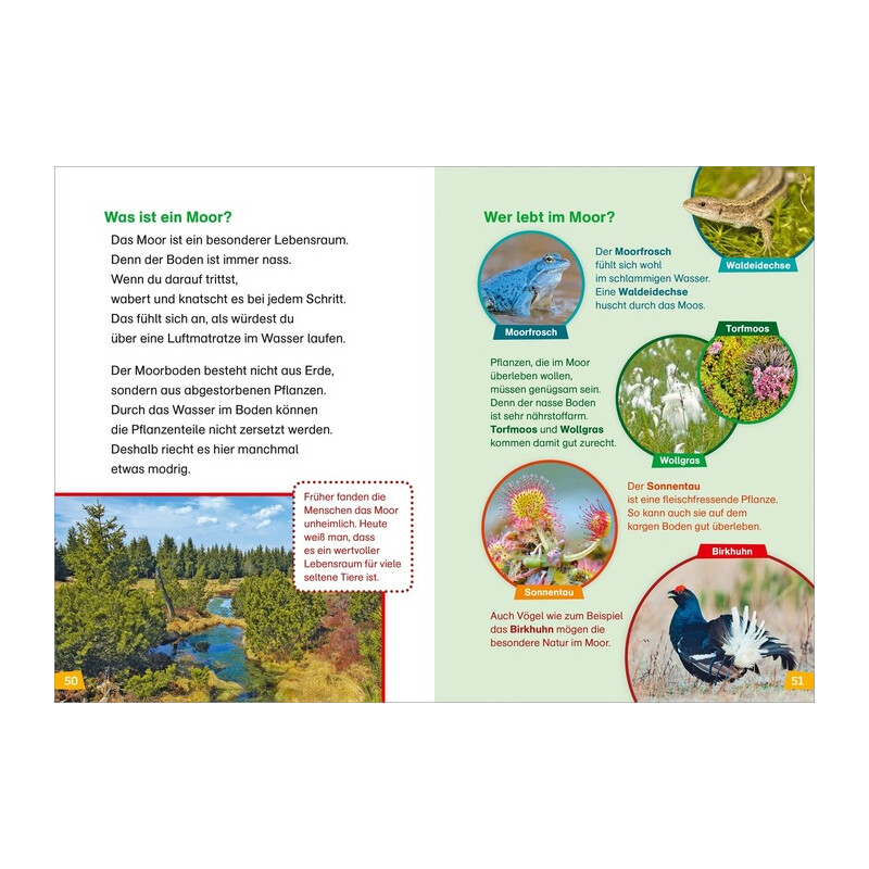 Tessloff-Verlag WAS IST WAS Première lecture : Découvrir la nature