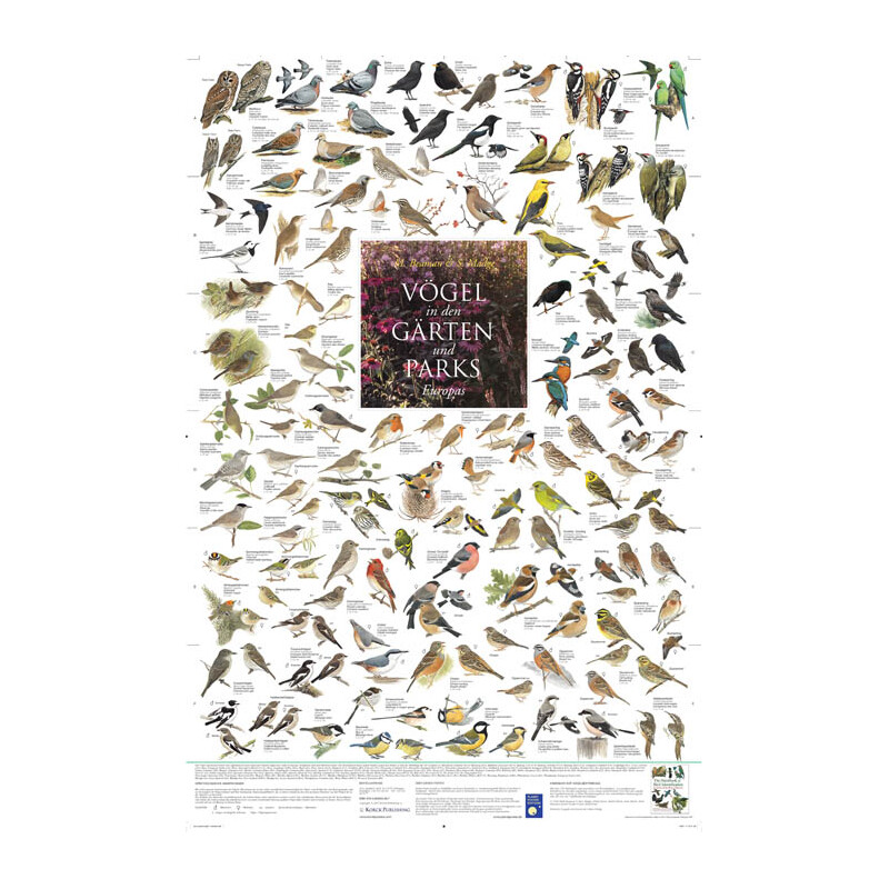 Affiche Planet Poster Editions Vögel in den Gärten und Parks Europas