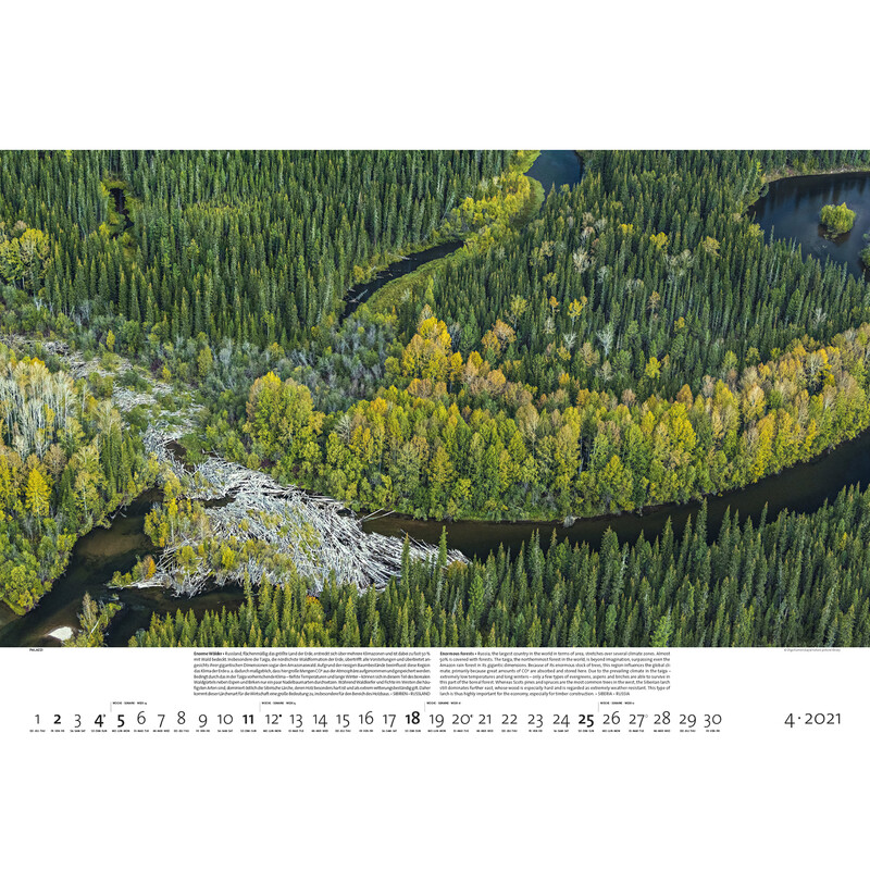 Calendrier Palazzi Verlag Forêts de la Terre 2021