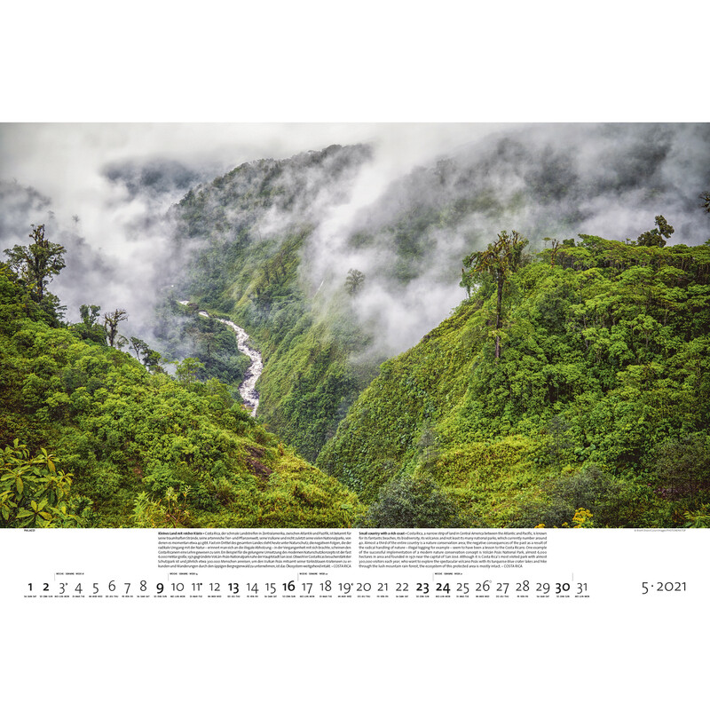 Calendrier Palazzi Verlag Forêts de la Terre 2021