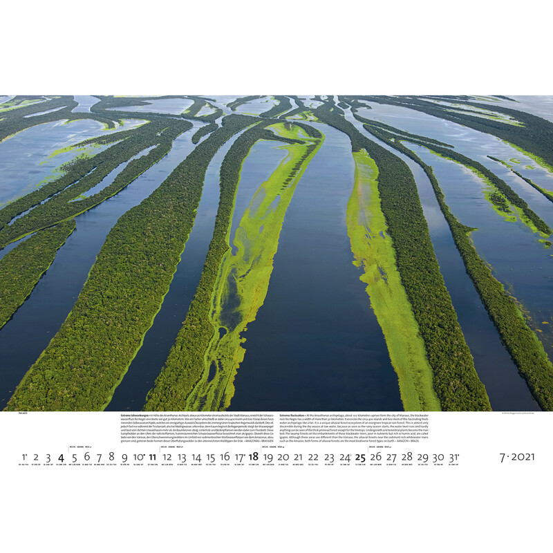 Calendrier Palazzi Verlag Forêts de la Terre 2021