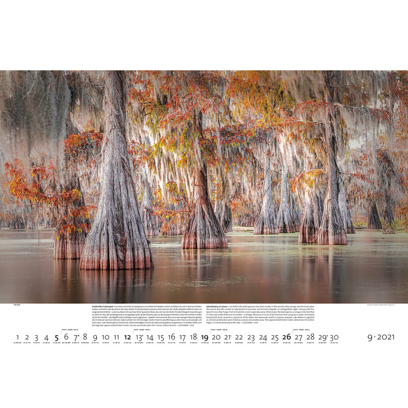 Calendrier Palazzi Verlag Forêts de la Terre 2021