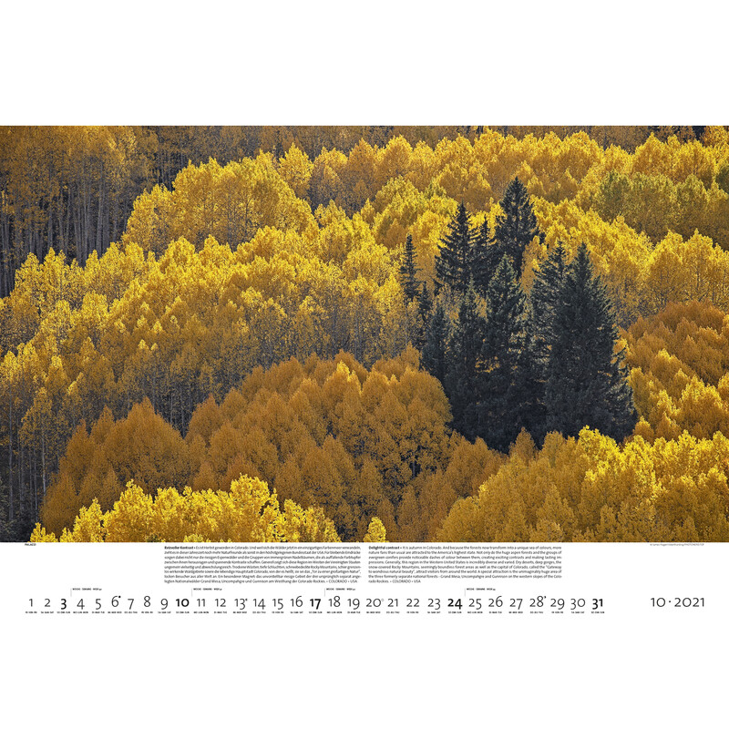 Calendrier Palazzi Verlag Forêts de la Terre 2021