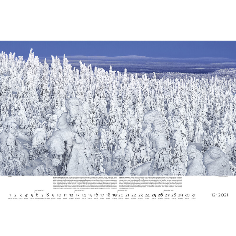 Calendrier Palazzi Verlag Forêts de la Terre 2021