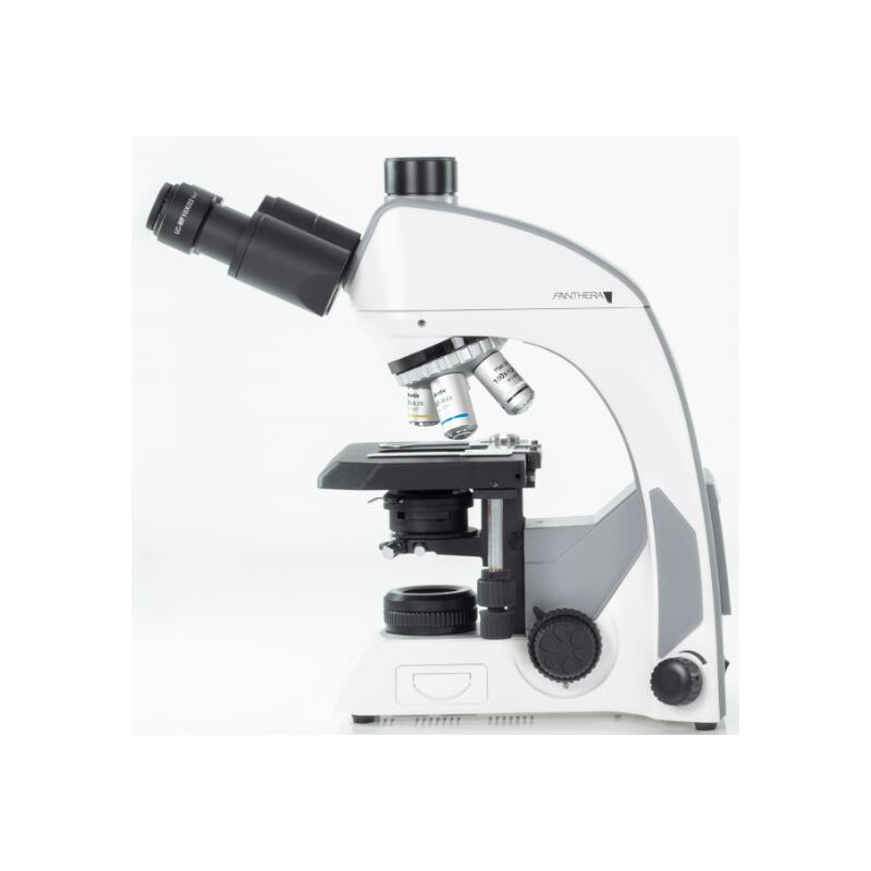 Microscope Motic Panthera C, trino, infinity, plan, achro, 40x-1000x, Halogen