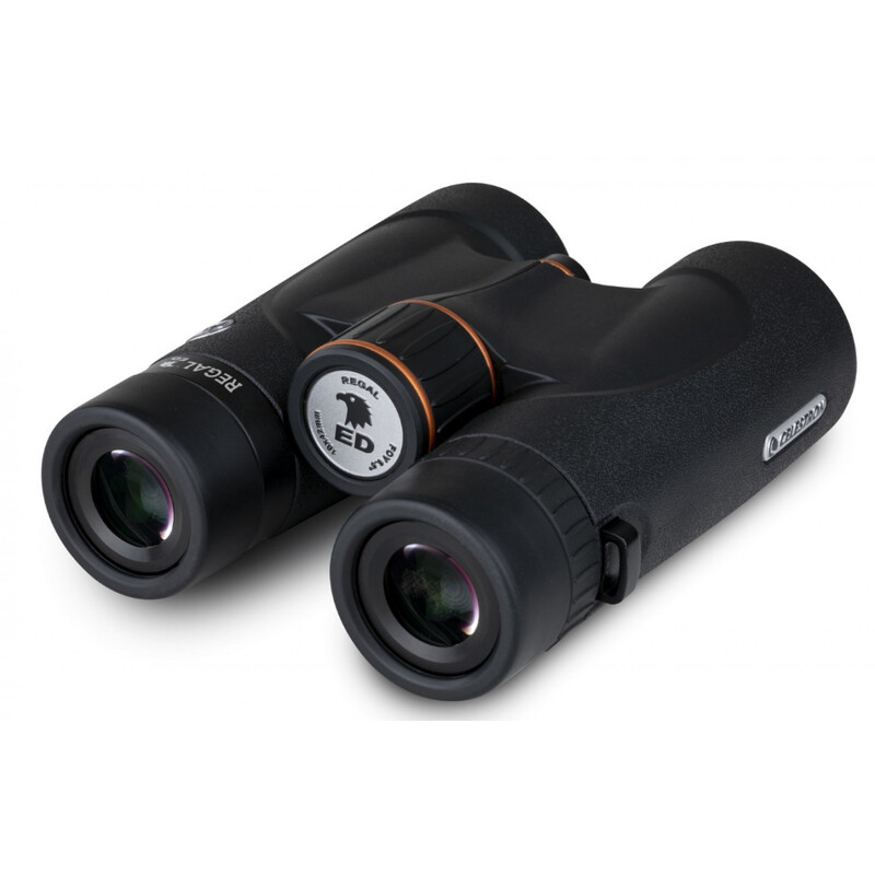 Jumelles Celestron Regal ED 10X42