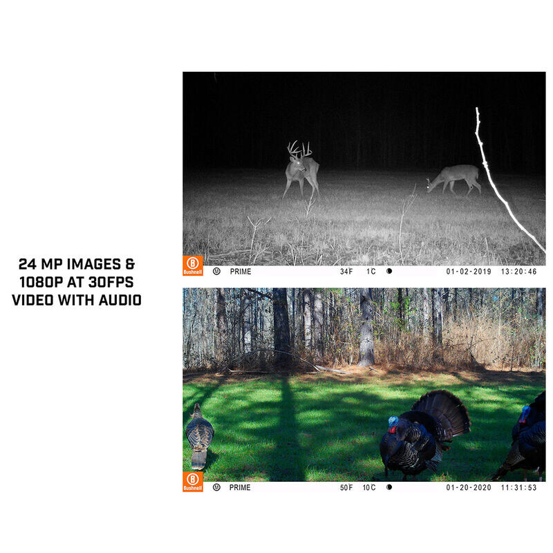 Appareil-photo spécial gibier Bushnell 24MP Prime core prime marron low glow