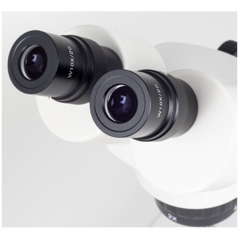 Microscope stéréoscopique Motic SFC-11C-N2LED, bino, 20/40x, AL/DL, LED