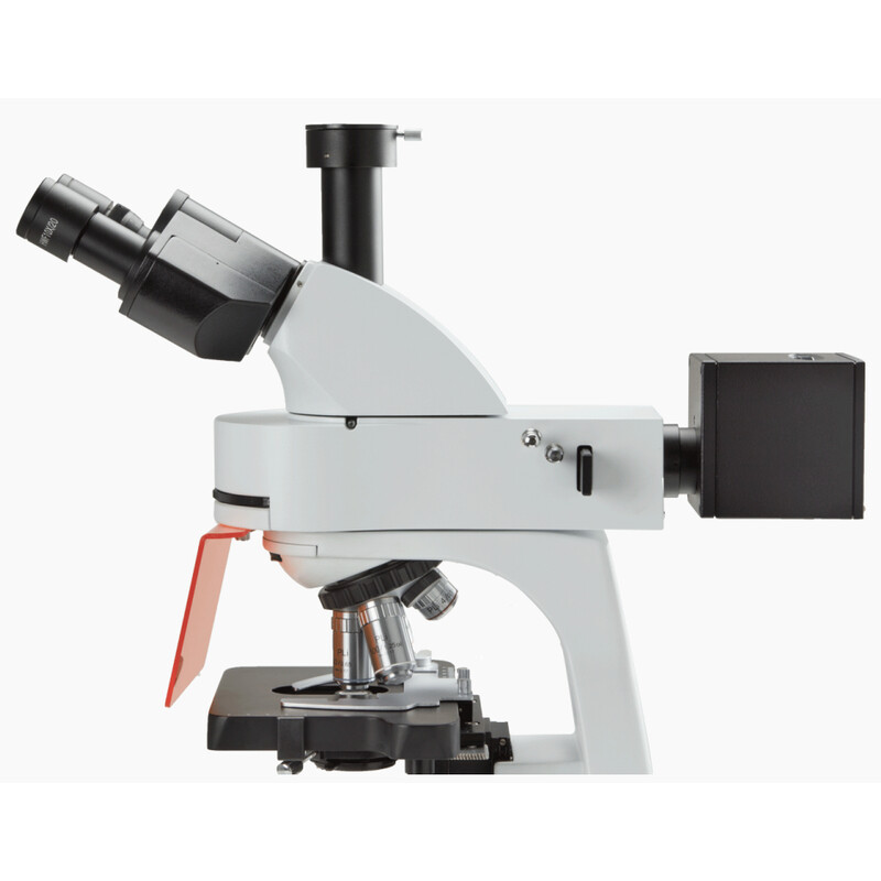 Microscope Euromex BS.3153-PLFi, trino, FL, plan, fluarex, INFINITY, 40x-1000x, 10x/22, LED