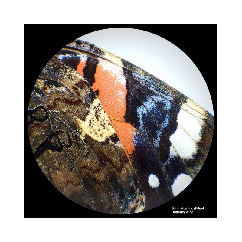 Microscope stéréoscopique Bresser Analyth STR 10x-40x bino; Greenough; 50mm; 10x/20; 10-40x; LED
