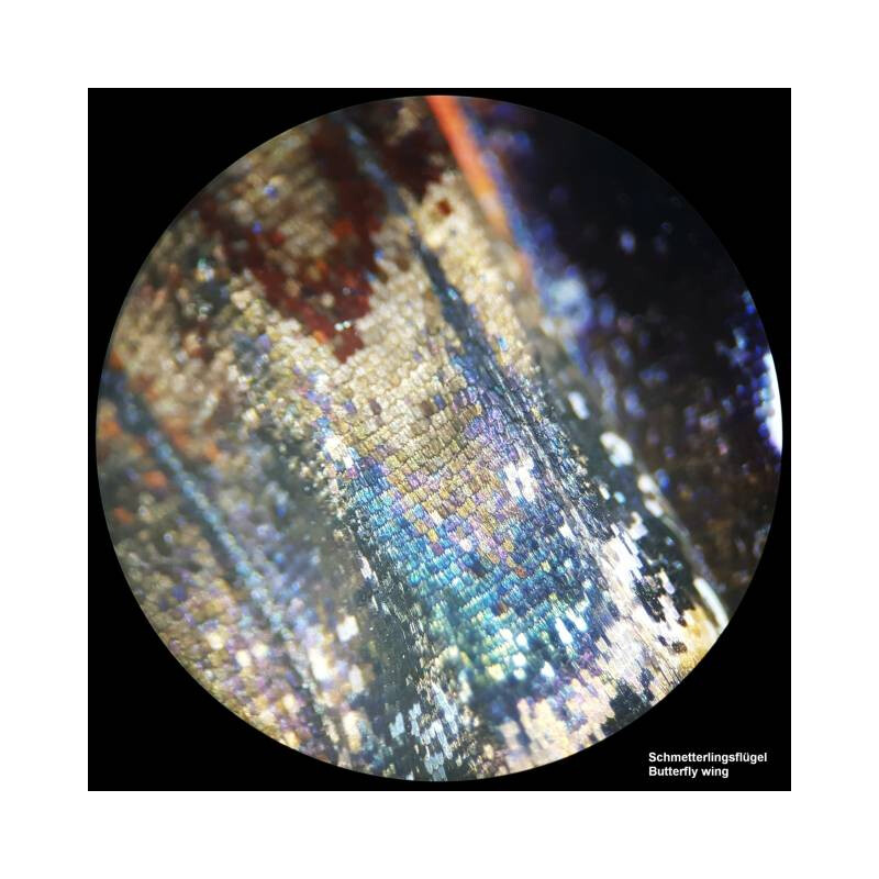 Microscope stéréoscopique Bresser Analyth STR 10x-40x bino ; Greenough ; 50 mm ; 10x/20 ; 10-40x ; LED