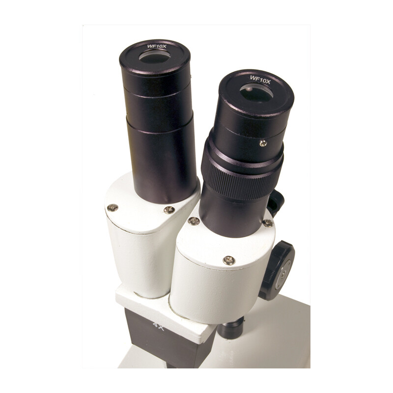 Microscope stéréoscopique Levenhuk 2ST 40x