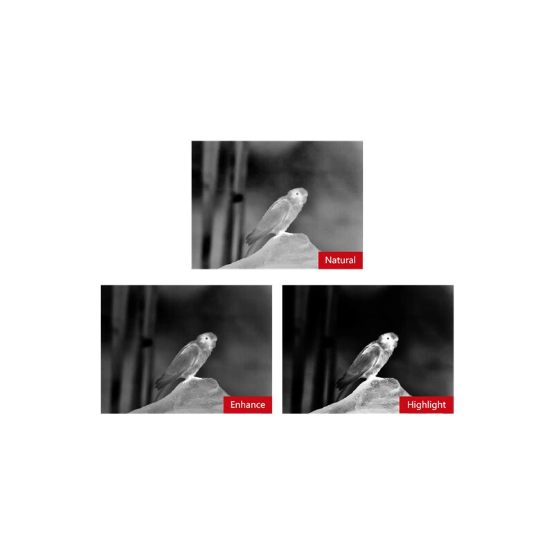 Guide Caméra à imagerie thermique TN430