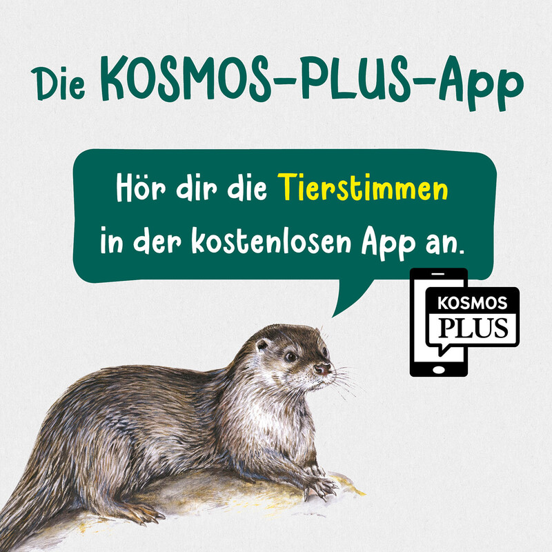 Kosmos Verlag Qu'est-ce qui vit dans les ruisseaux et les étangs ?