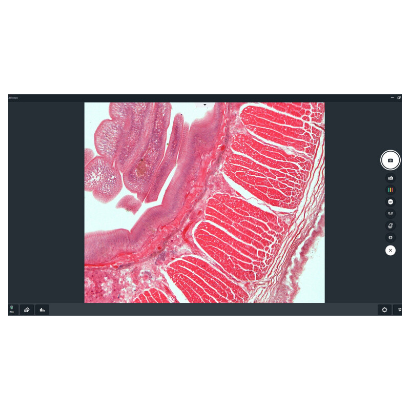 ZEISS Logiciels Labscope 4.5 (Windows) - Téléchargement