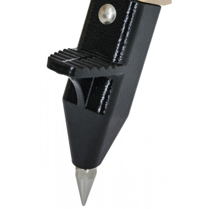 Trépied Berlebach UNI 8 Skywatcher WAVE-150i