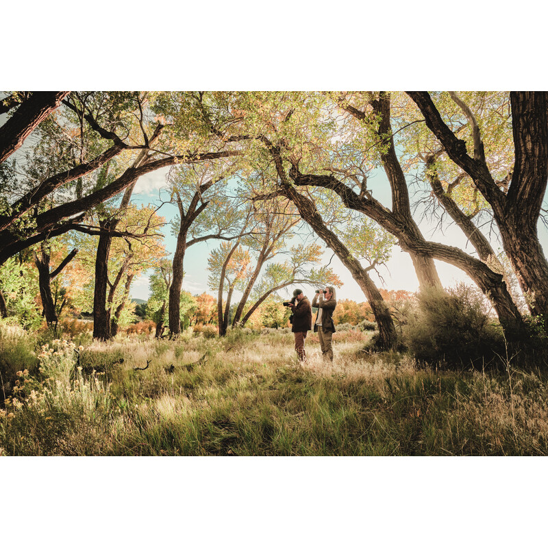 Longue-vue Swarovski AT Balance 18-45x65