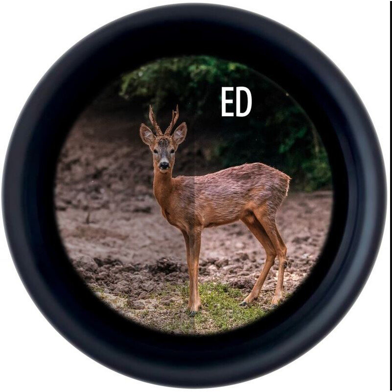 Jumelles Minox X-Tour 8x34