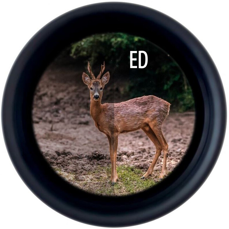 Jumelles Minox X-Tour 10x42